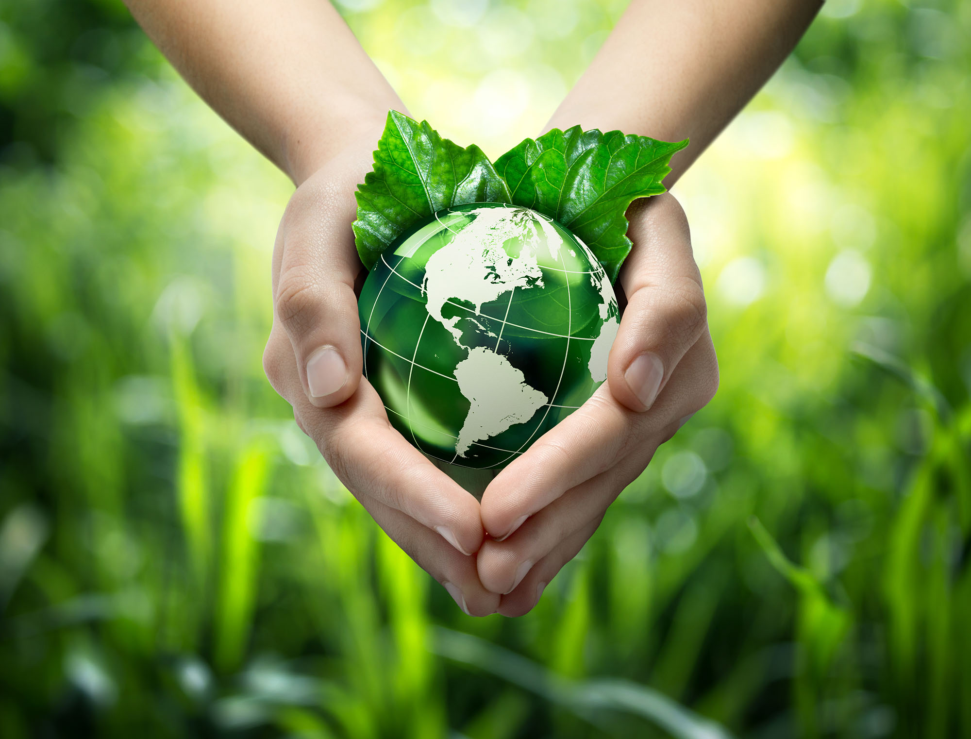 Green Planet in Your Hands